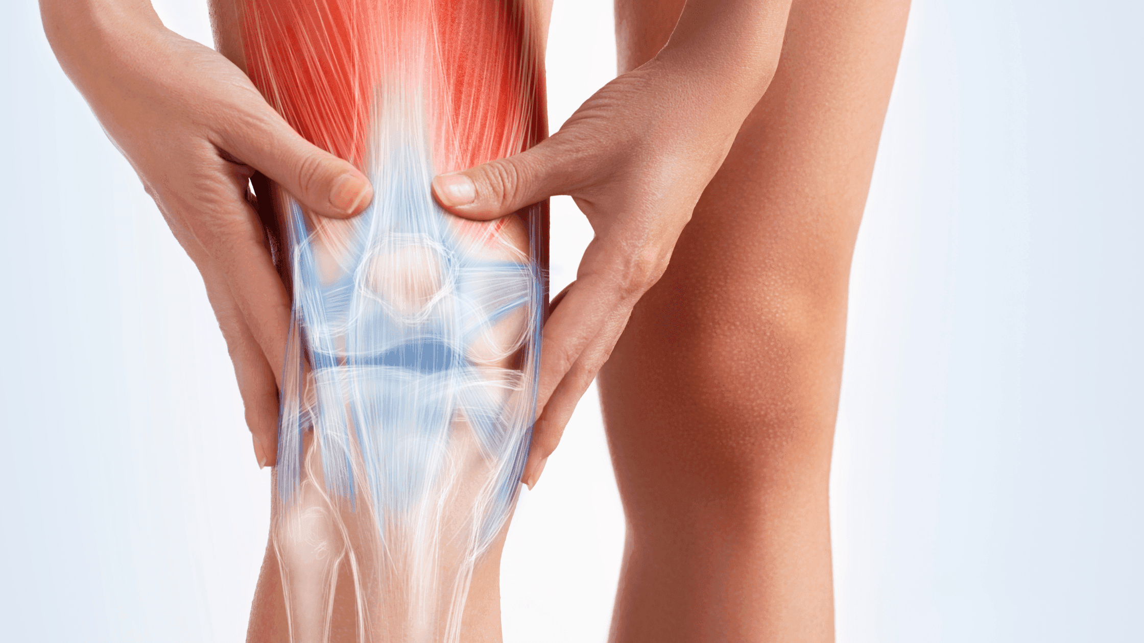 Knee 1.png