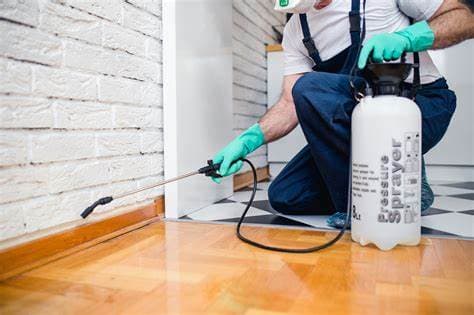 Essential Guide to Pest Control: What You Need to Know