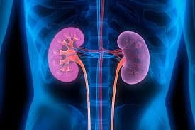 Kidney Disease: Spot the Early Signs Before It’s Too Late