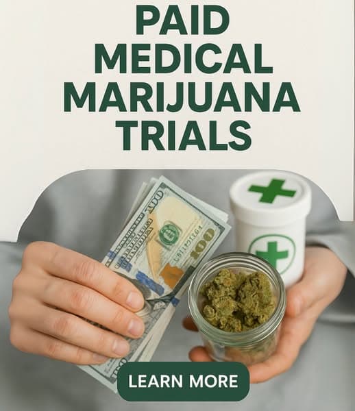 Understanding Paid Medical Marijuana Trials