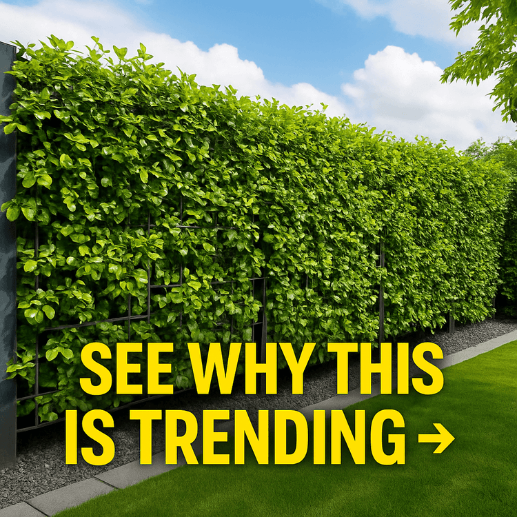 These Backyard Fence Trends Are Turning Heads
