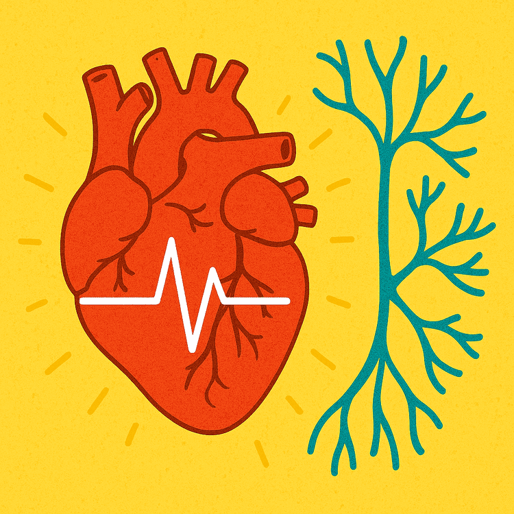Some Experts Say This May Calm AFiB Episodes