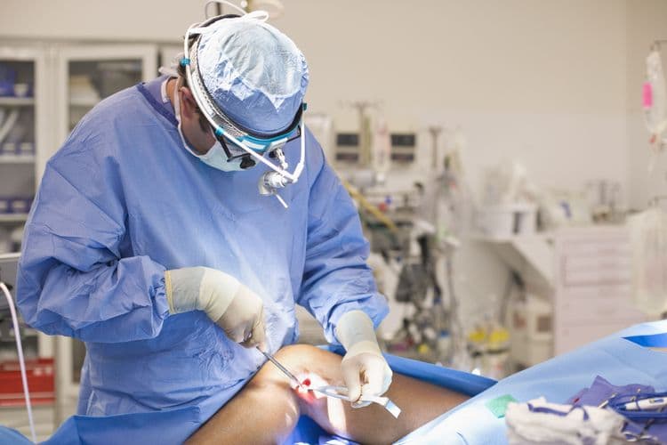 10 Best Knee Replacement Surgeons in the USA