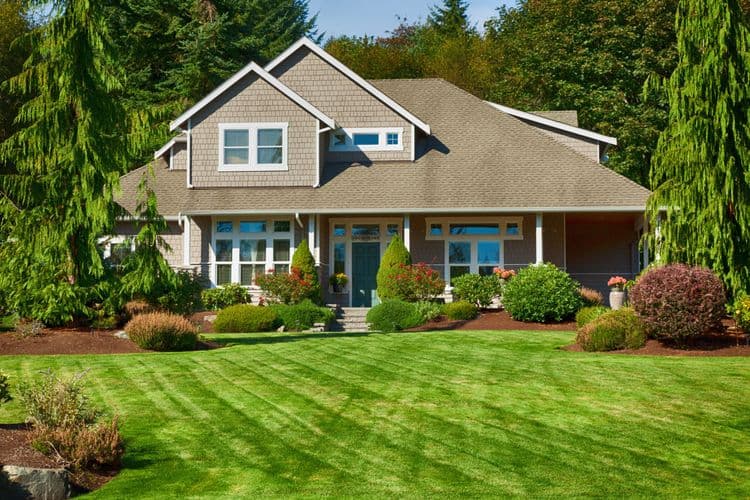 The Essential Guide to Senior Lawn Care: Tips and Insights